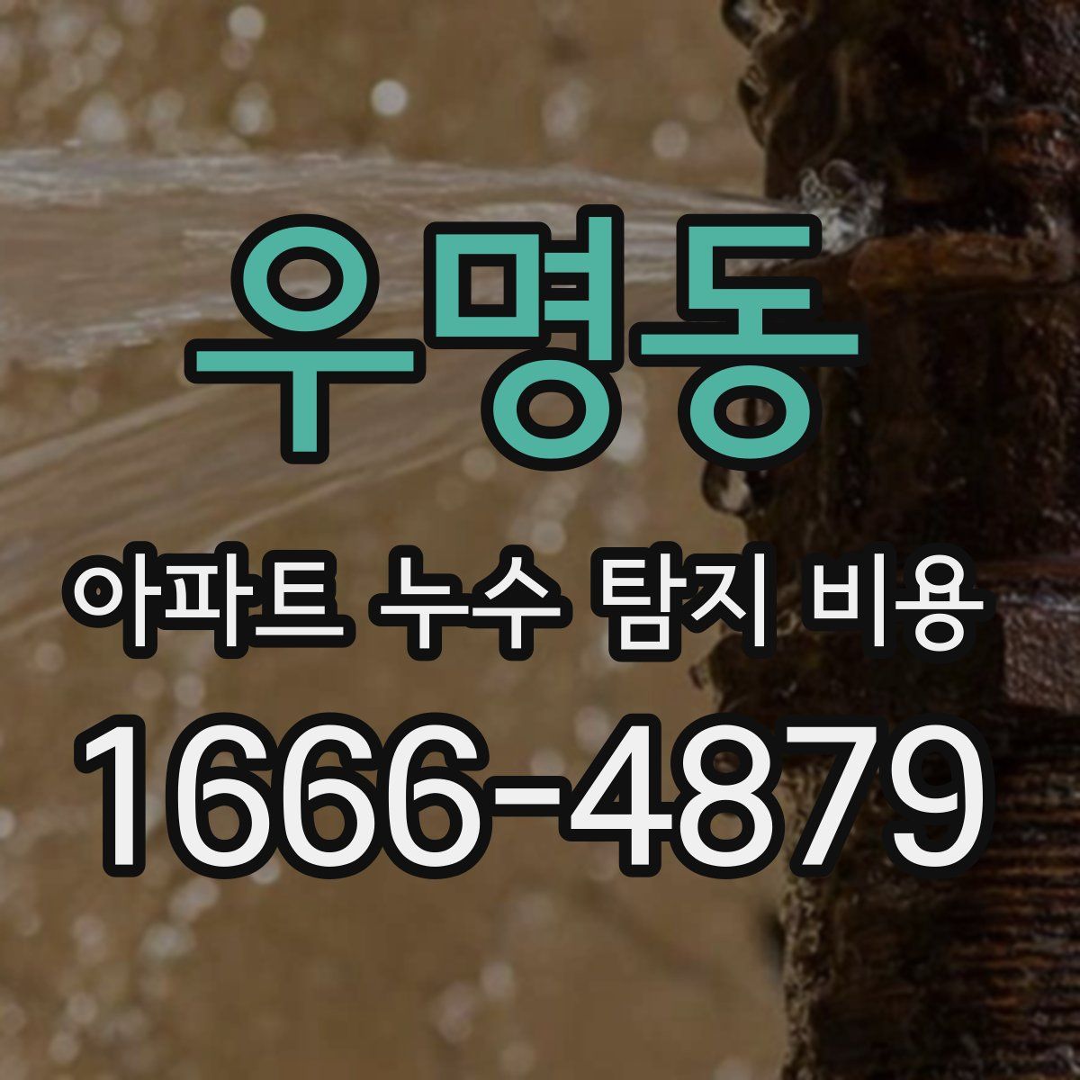 우명동 아파트 누수 탐지 비용