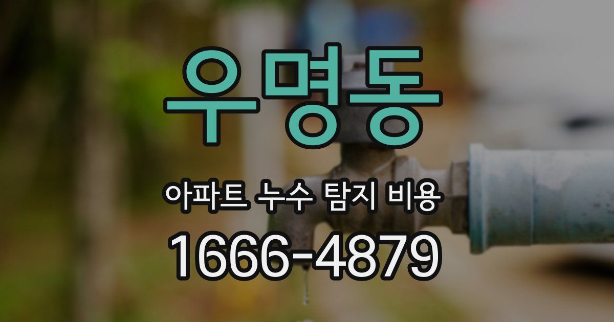 우명동 아파트 누수 탐지 비용