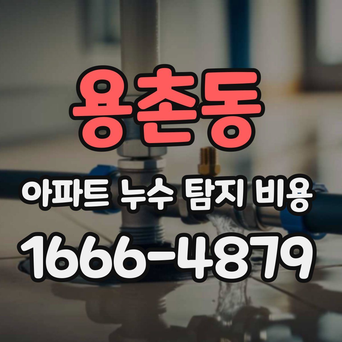 용촌동 아파트 누수 탐지 비용