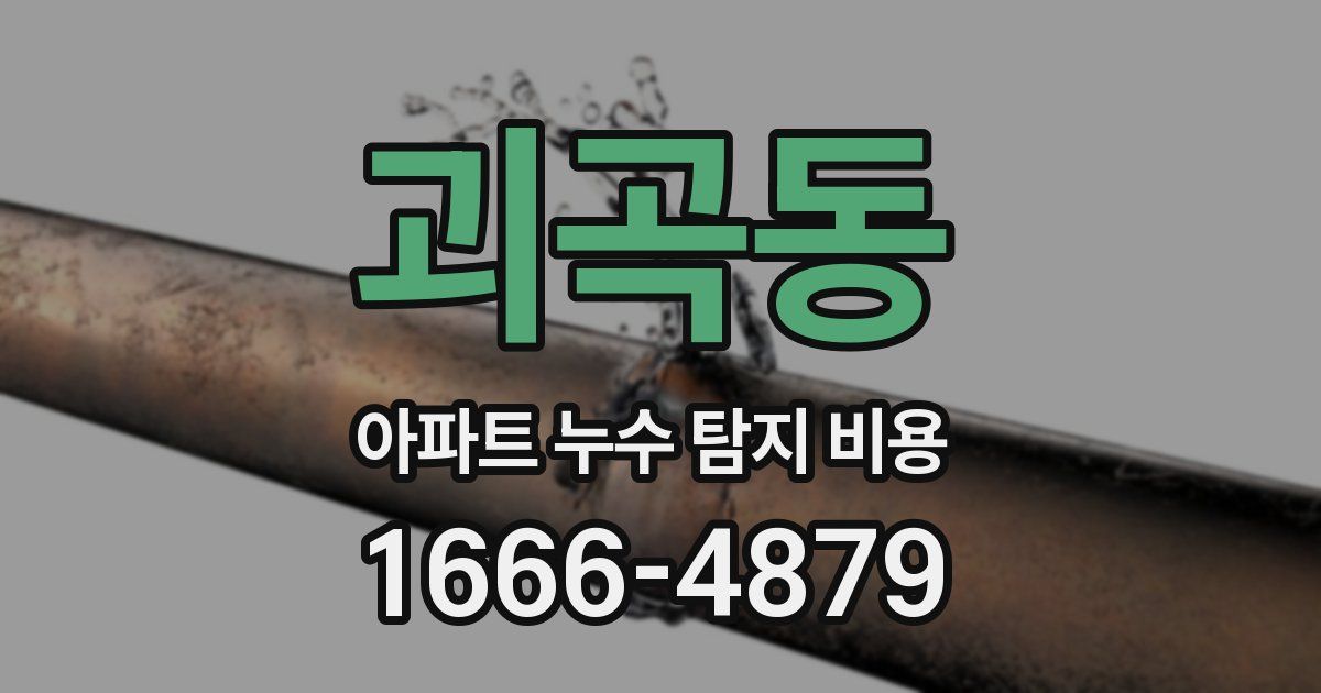 괴곡동 아파트 누수 탐지 비용