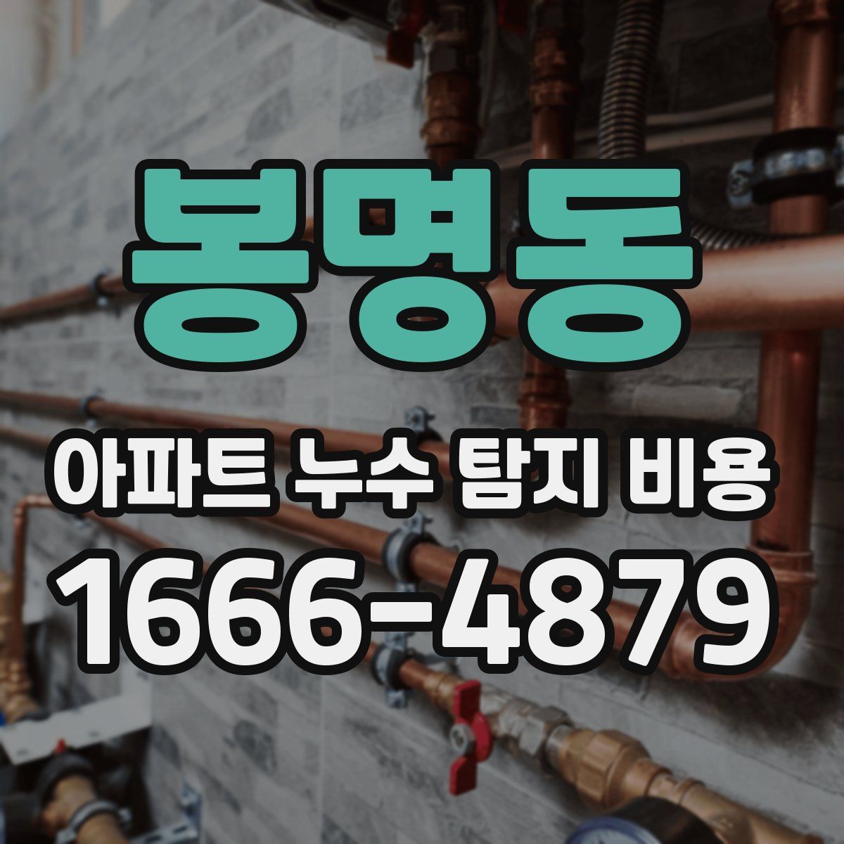 봉명동 아파트 누수 탐지 비용