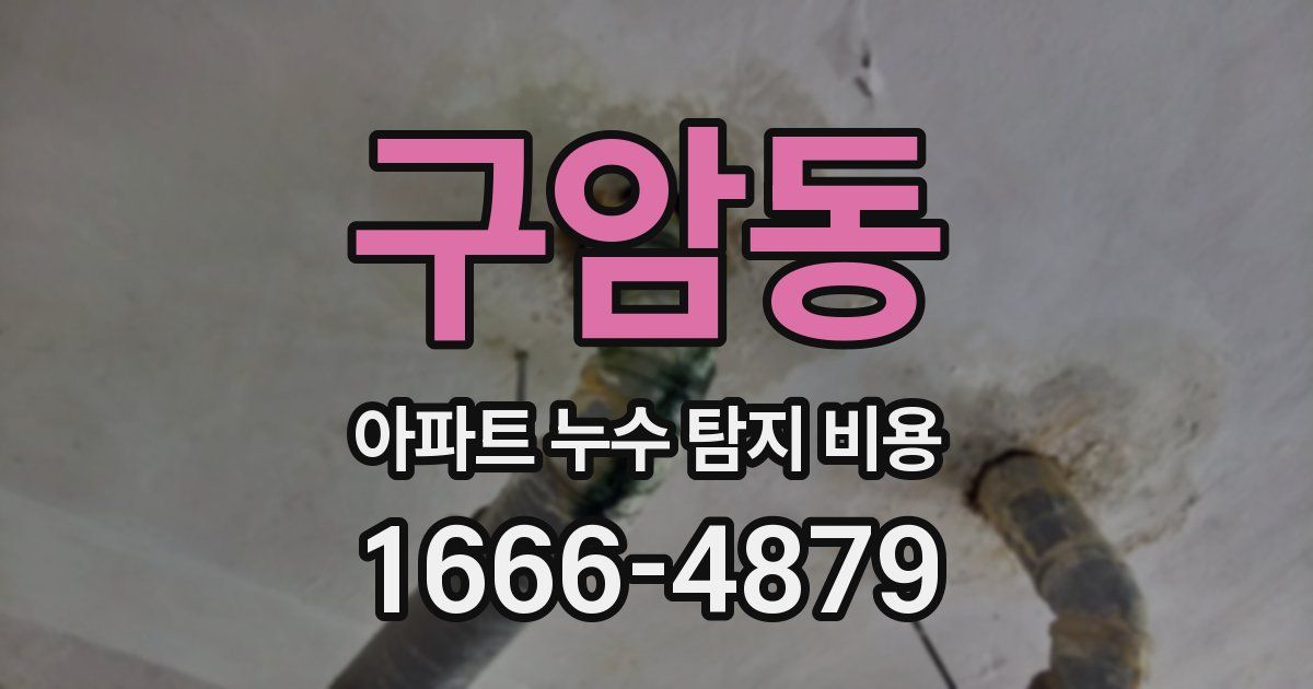 구암동 아파트 누수 탐지 비용