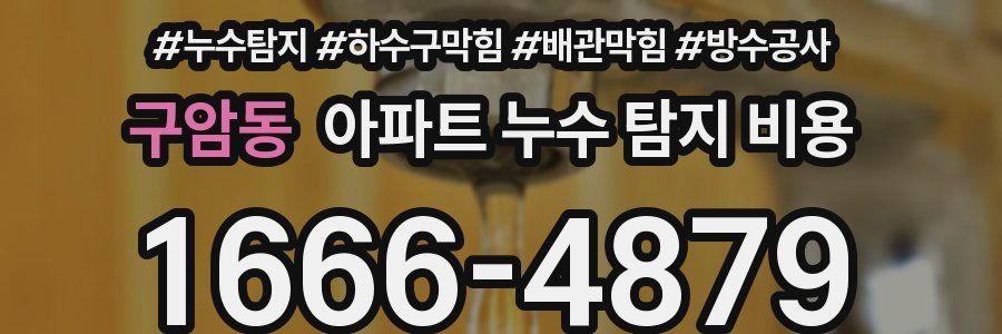 구암동 아파트 누수 탐지 비용