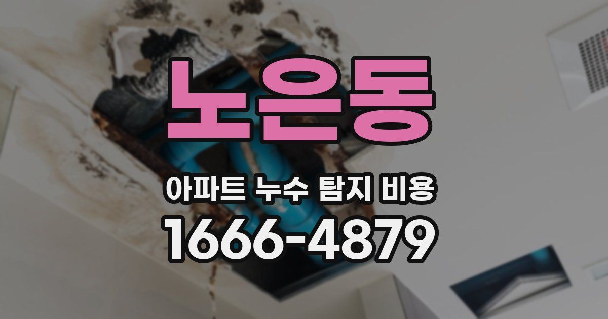 노은동 아파트 누수 탐지 비용