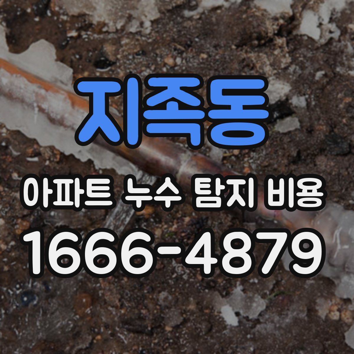 지족동 아파트 누수 탐지 비용