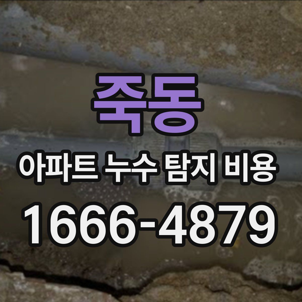 죽동 아파트 누수 탐지 비용