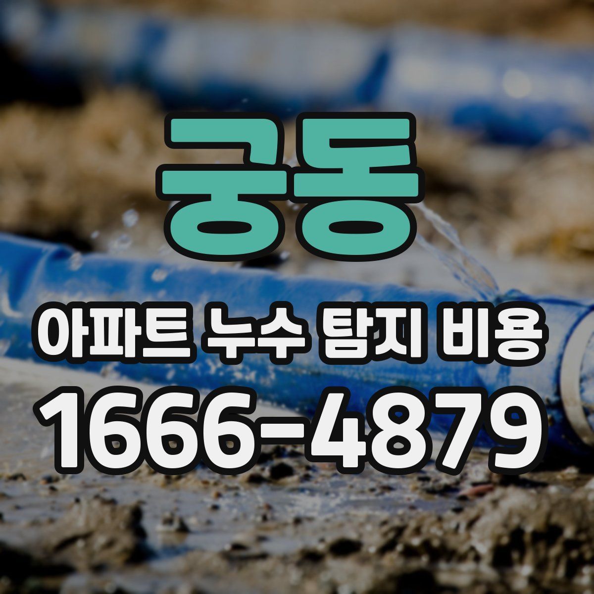 궁동 아파트 누수 탐지 비용