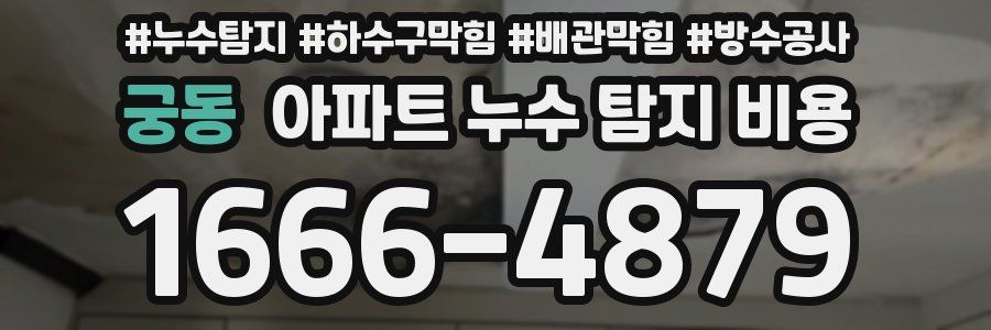 궁동 아파트 누수 탐지 비용