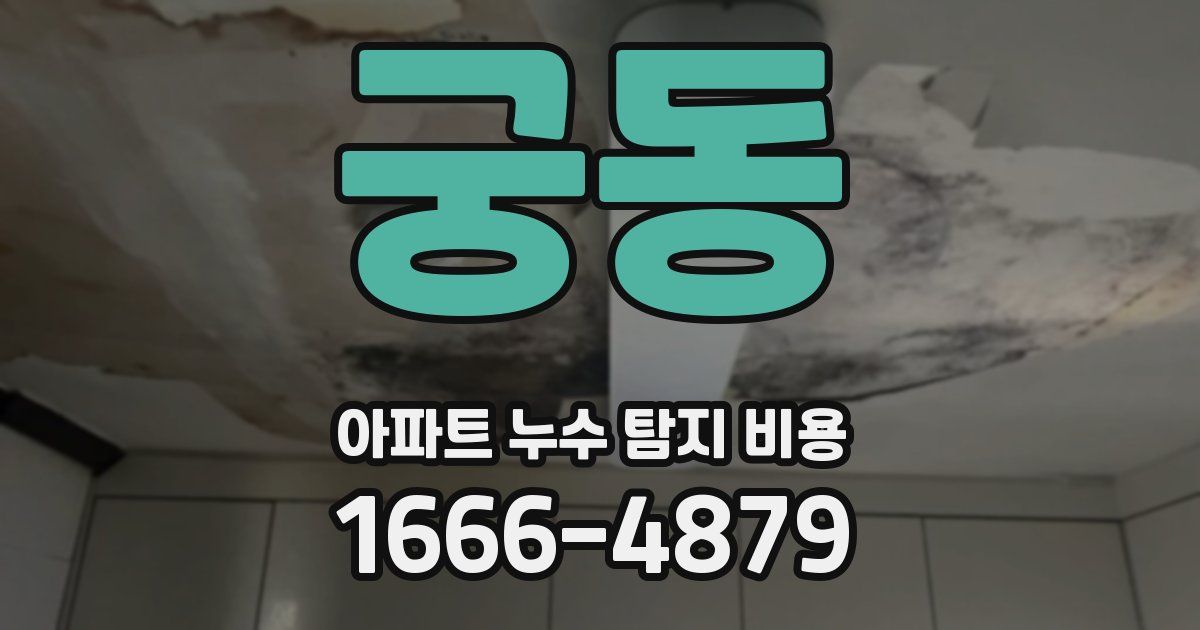 궁동 아파트 누수 탐지 비용