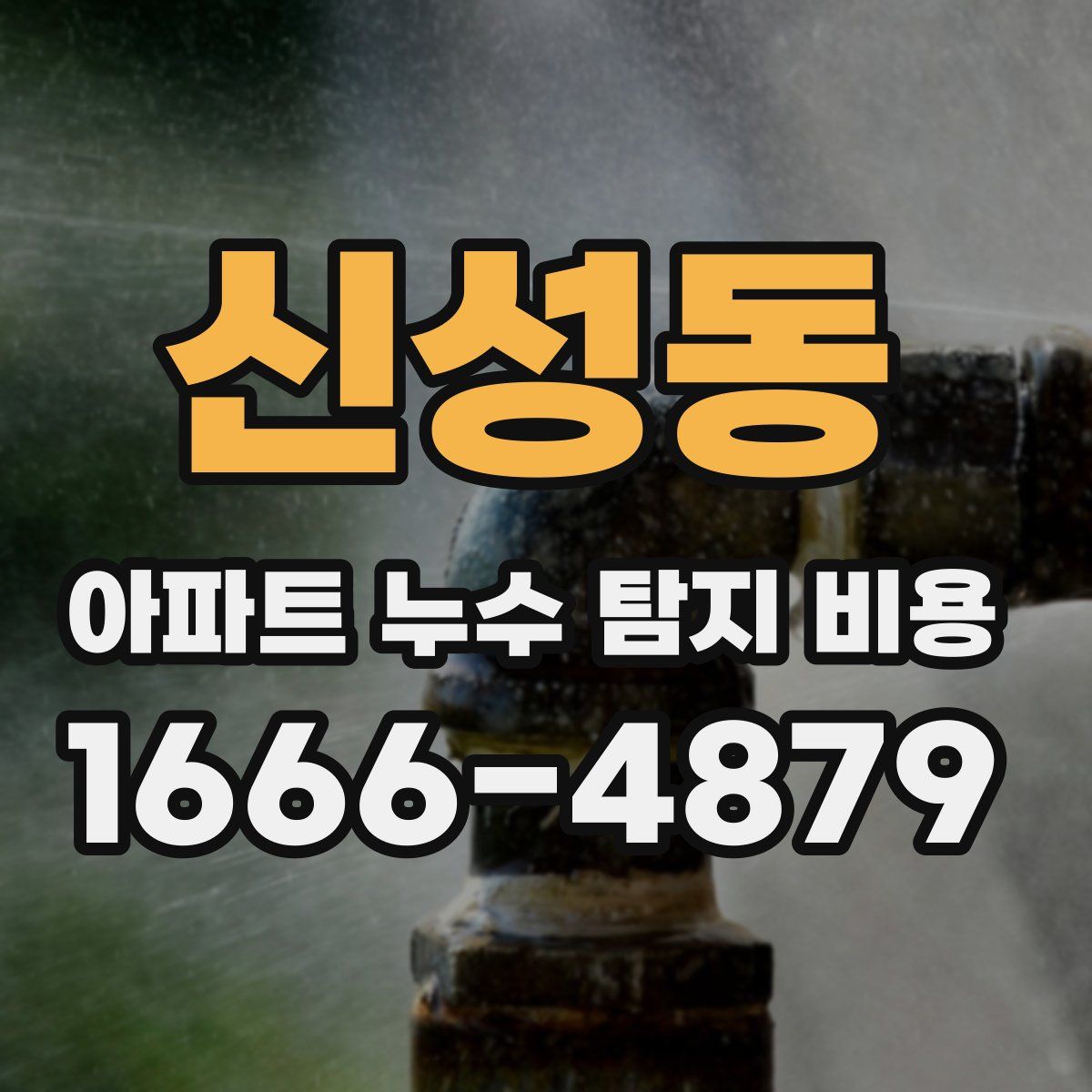 신성동 아파트 누수 탐지 비용