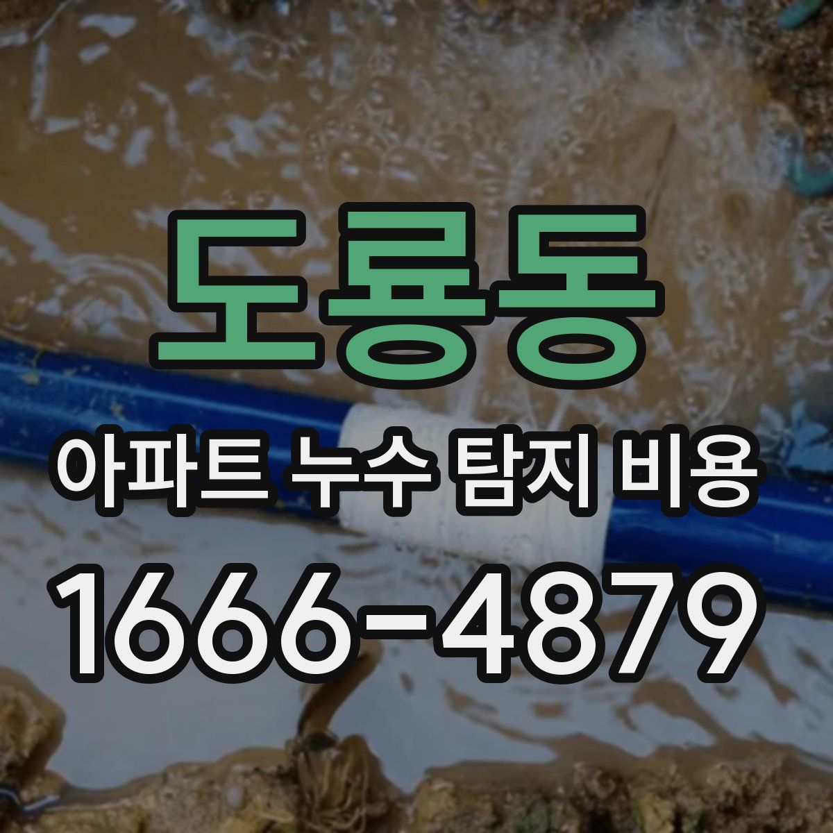 도룡동 아파트 누수 탐지 비용