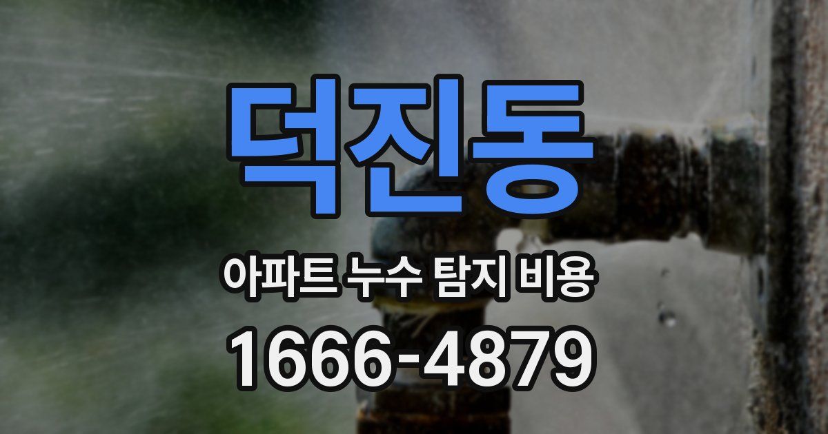 덕진동 아파트 누수 탐지 비용