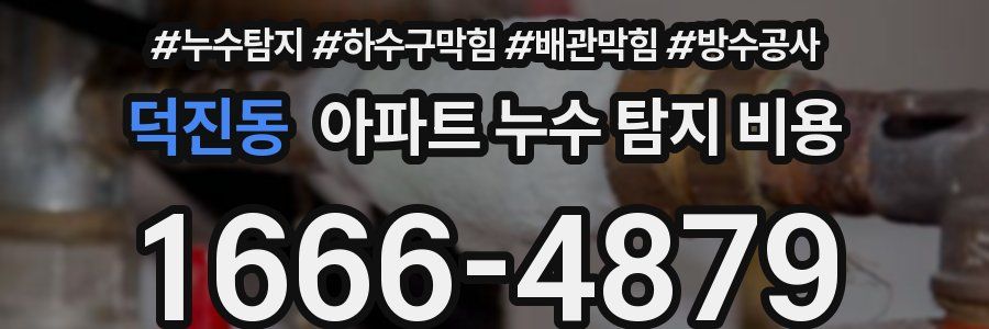 덕진동 아파트 누수 탐지 비용
