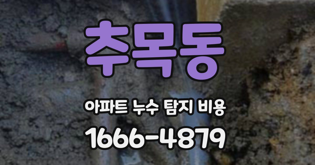 추목동 아파트 누수 탐지 비용