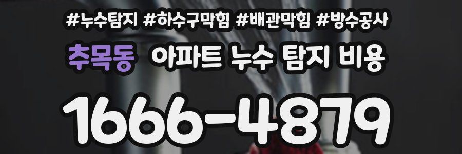 추목동 아파트 누수 탐지 비용