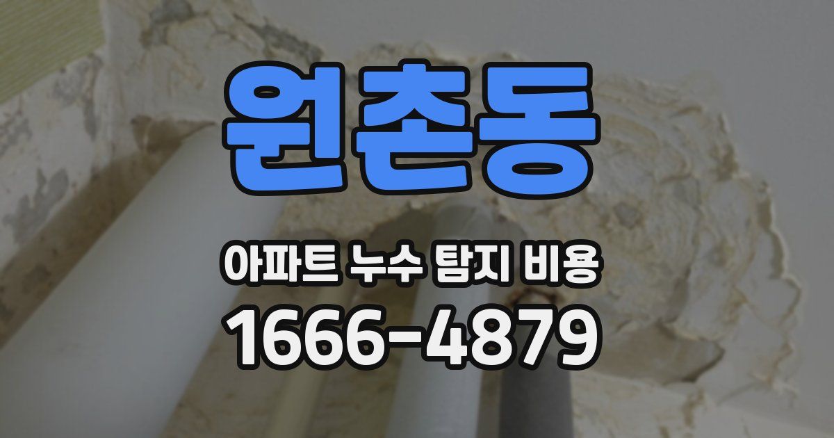 원촌동 아파트 누수 탐지 비용