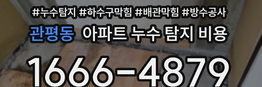 관평동 아파트 누수 탐지 비용