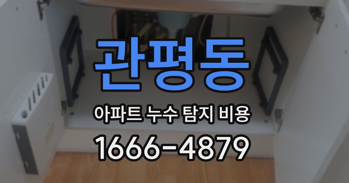 관평동 아파트 누수 탐지 비용