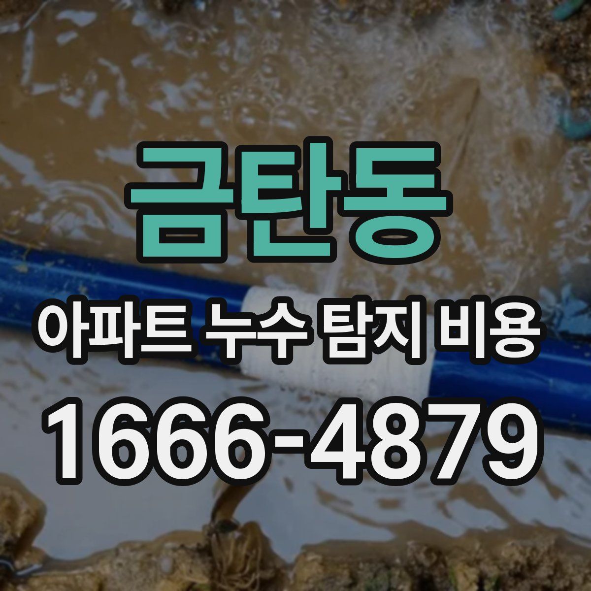 금탄동 아파트 누수 탐지 비용