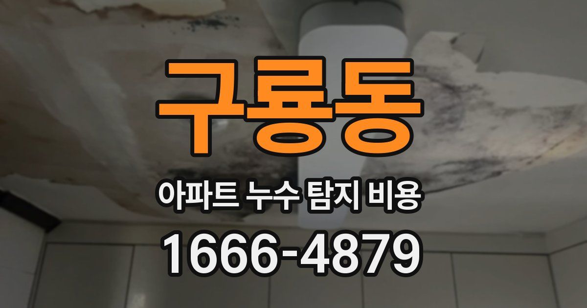 구룡동 아파트 누수 탐지 비용
