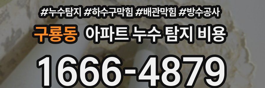 구룡동 아파트 누수 탐지 비용