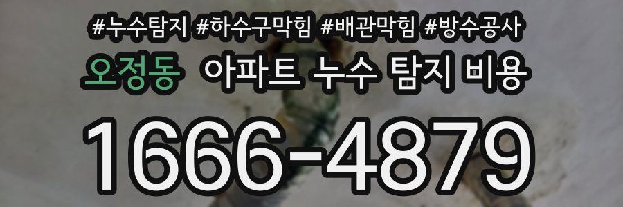오정동 아파트 누수 탐지 비용