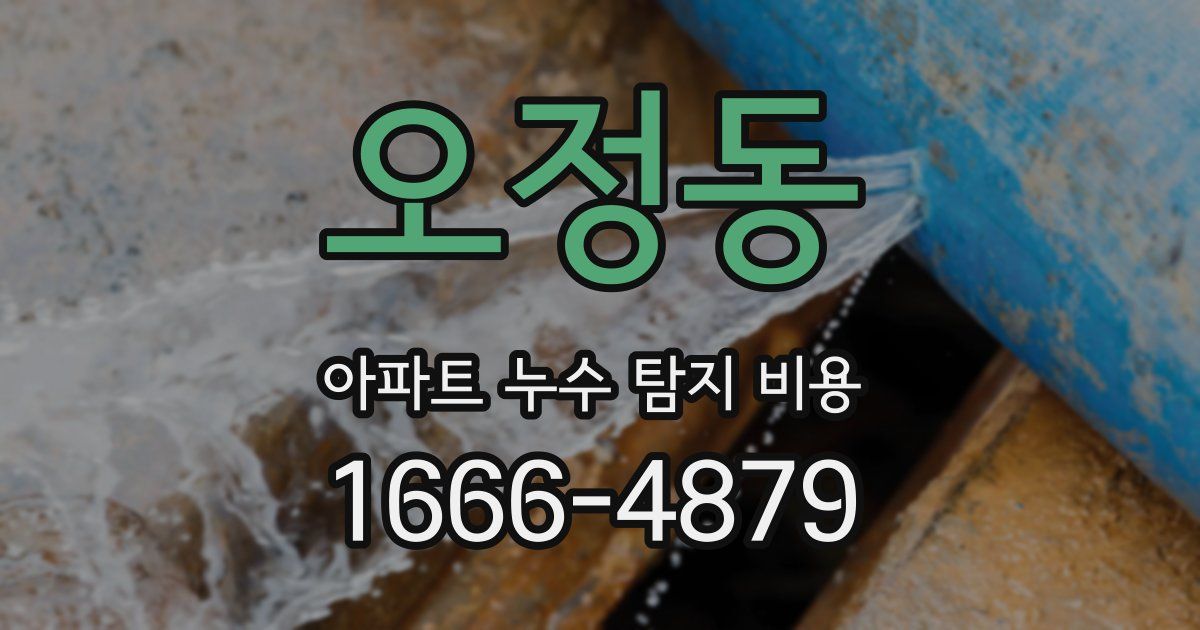 오정동 아파트 누수 탐지 비용