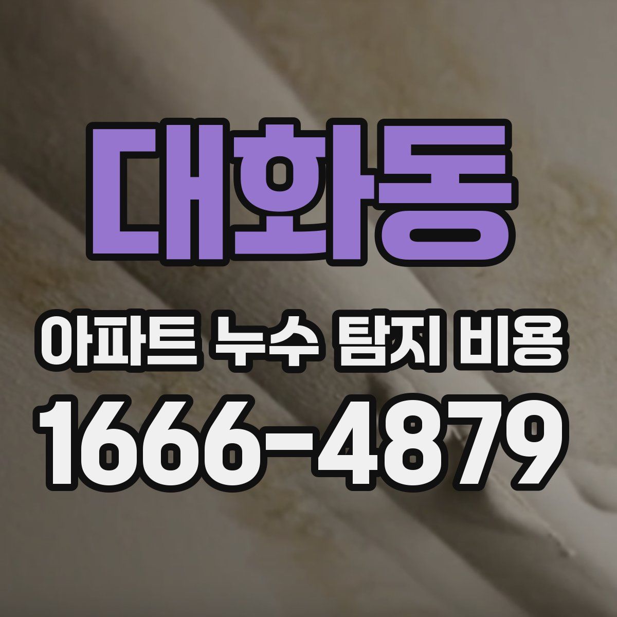 대화동 아파트 누수 탐지 비용