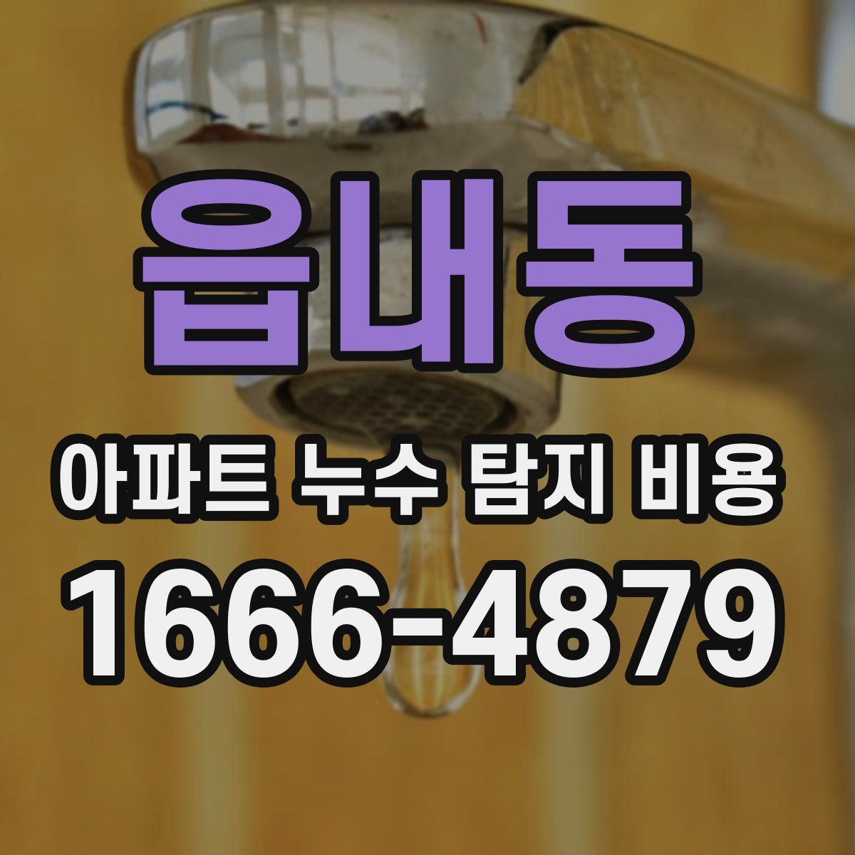 읍내동 아파트 누수 탐지 비용