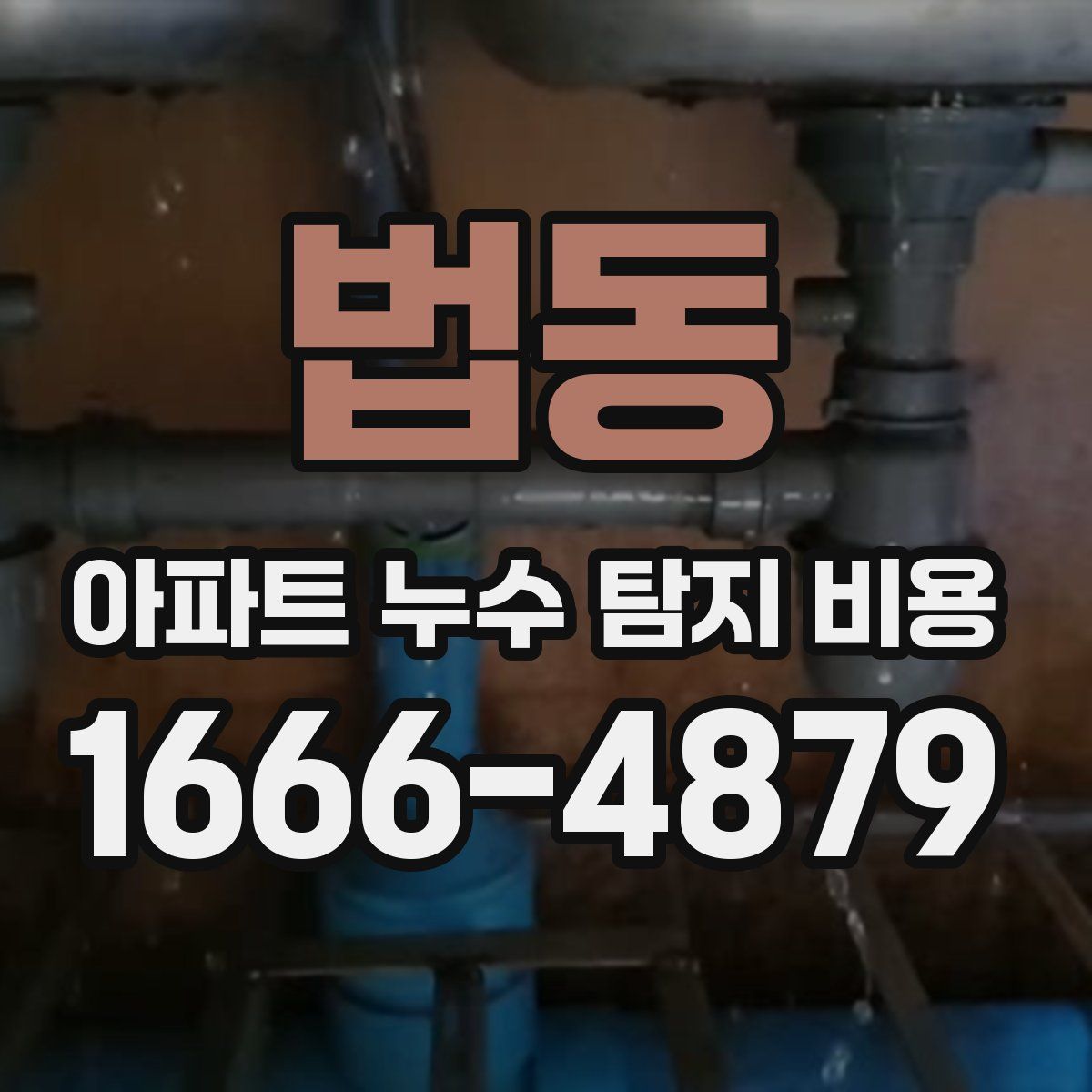법동 아파트 누수 탐지 비용