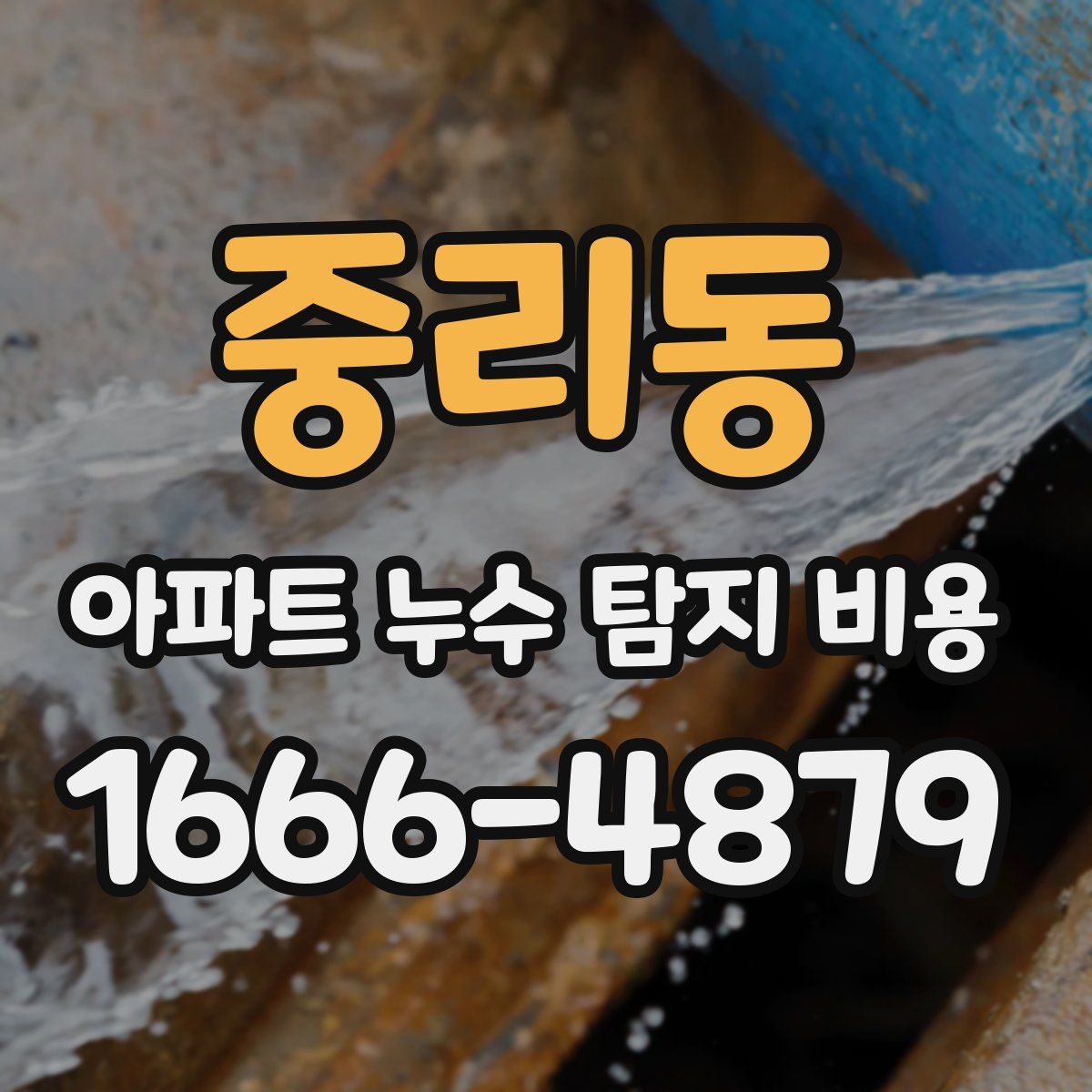 중리동 아파트 누수 탐지 비용