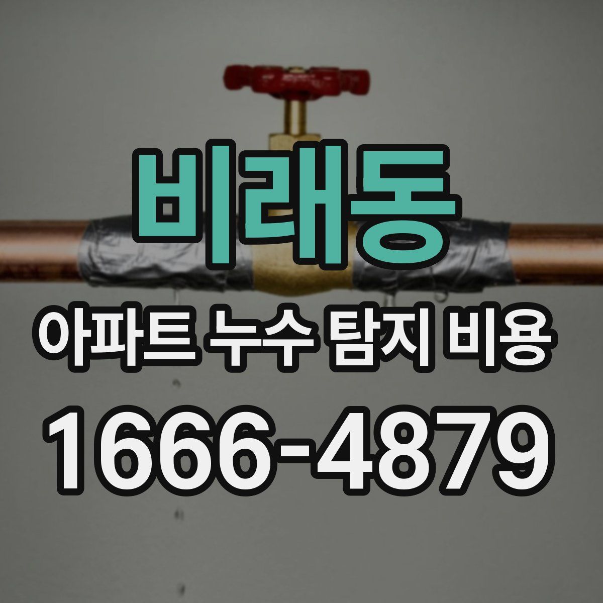 비래동 아파트 누수 탐지 비용