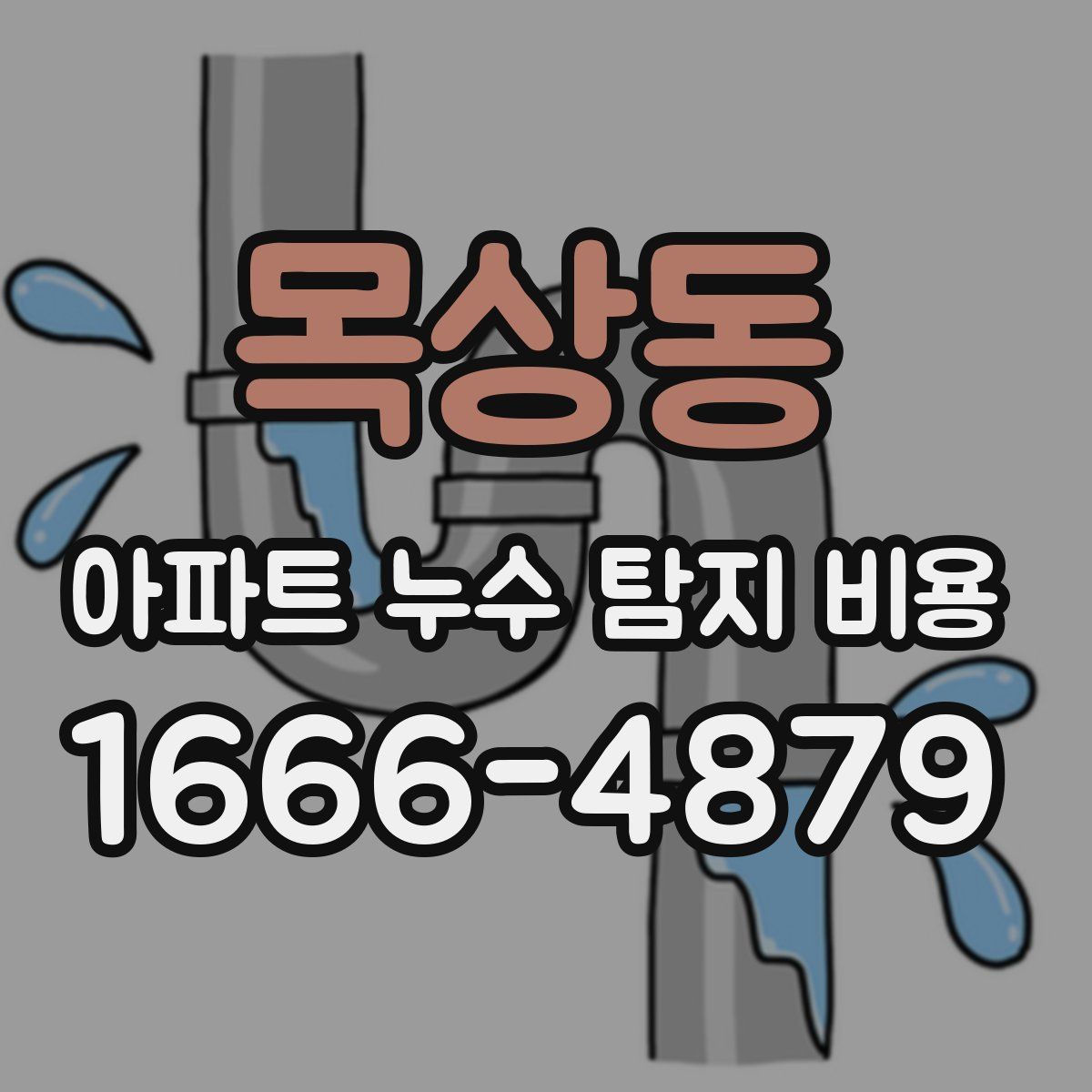 목상동 아파트 누수 탐지 비용