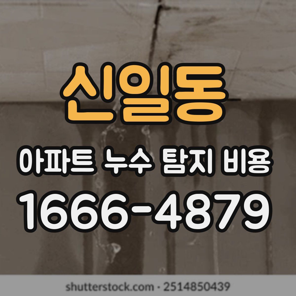 신일동 아파트 누수 탐지 비용