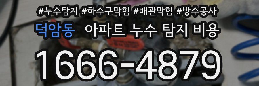 덕암동 아파트 누수 탐지 비용
