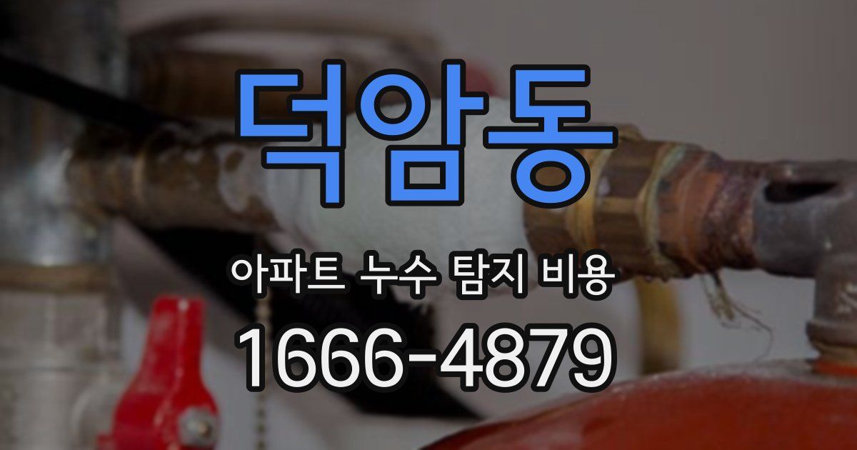 덕암동 아파트 누수 탐지 비용