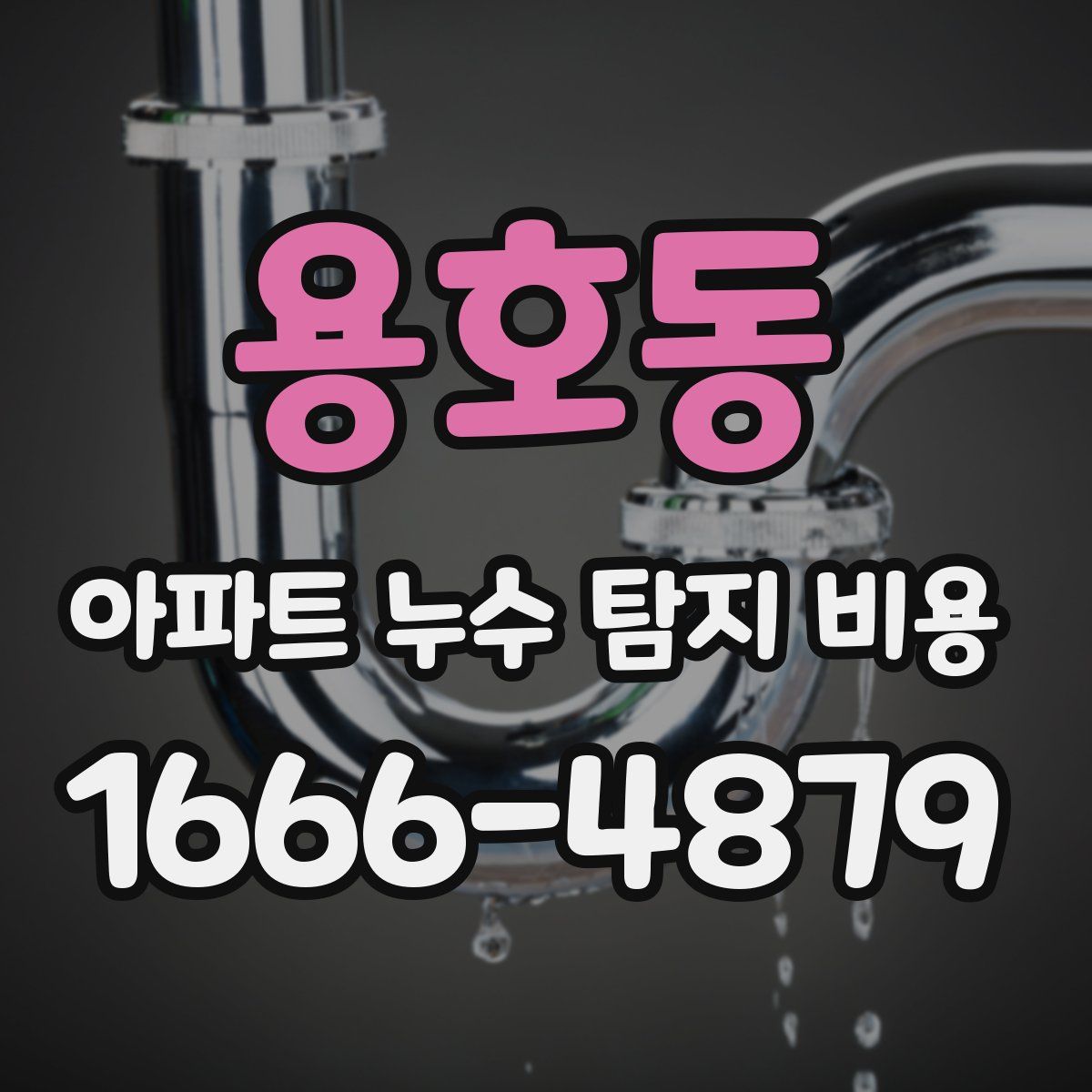 용호동 아파트 누수 탐지 비용