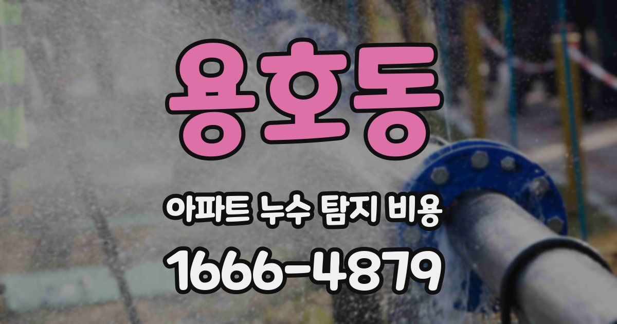 용호동 아파트 누수 탐지 비용