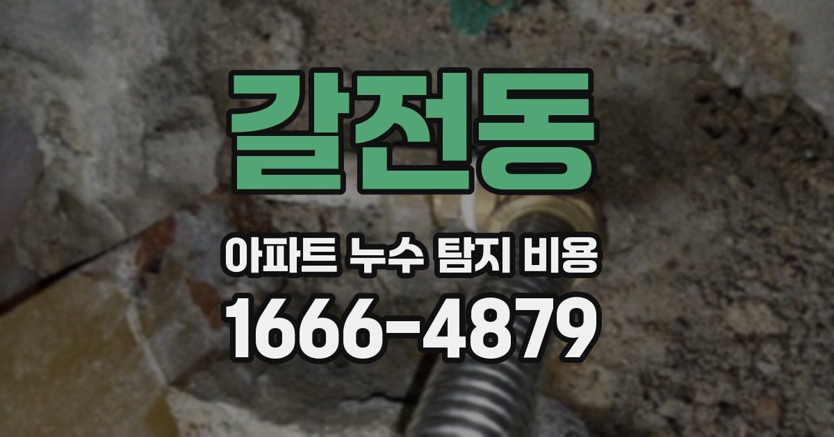 갈전동 아파트 누수 탐지 비용