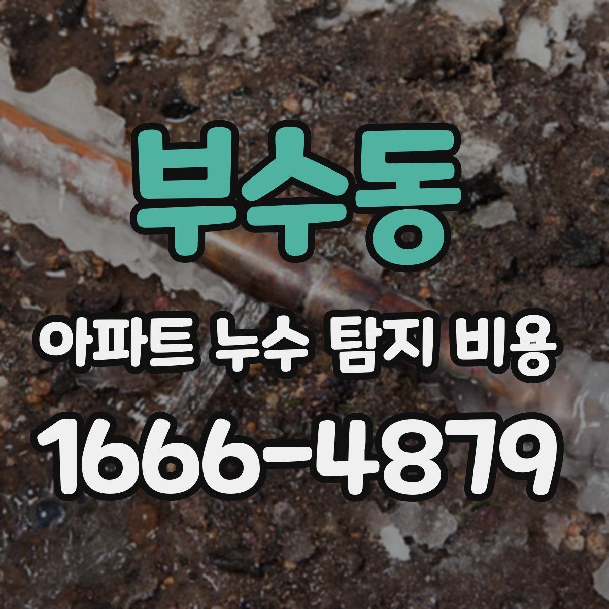 부수동 아파트 누수 탐지 비용