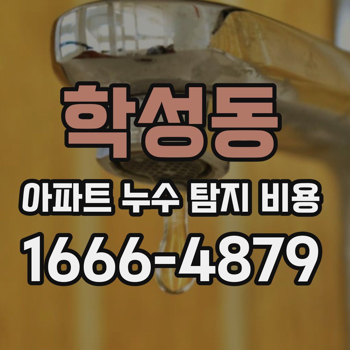 학성동 아파트 누수 탐지 비용