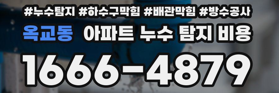 옥교동 아파트 누수 탐지 비용