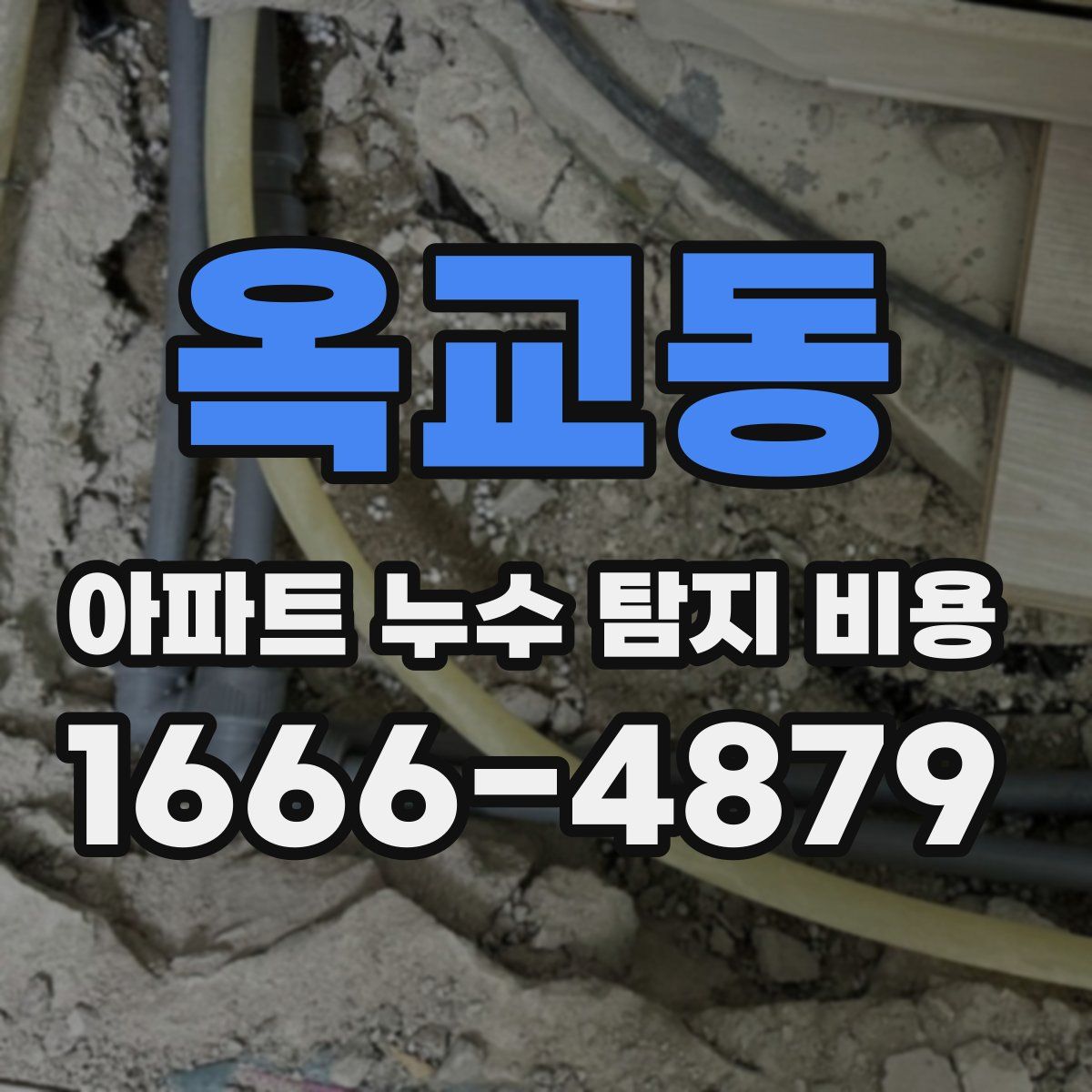 옥교동 아파트 누수 탐지 비용