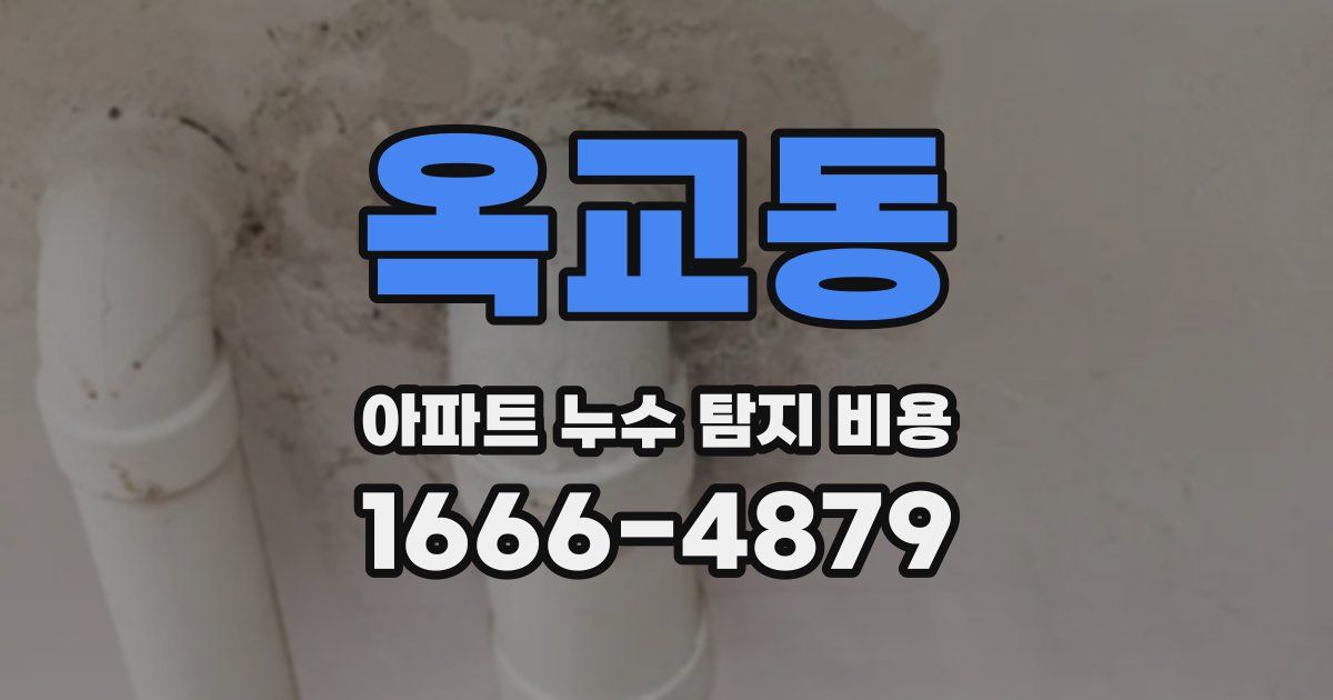 옥교동 아파트 누수 탐지 비용