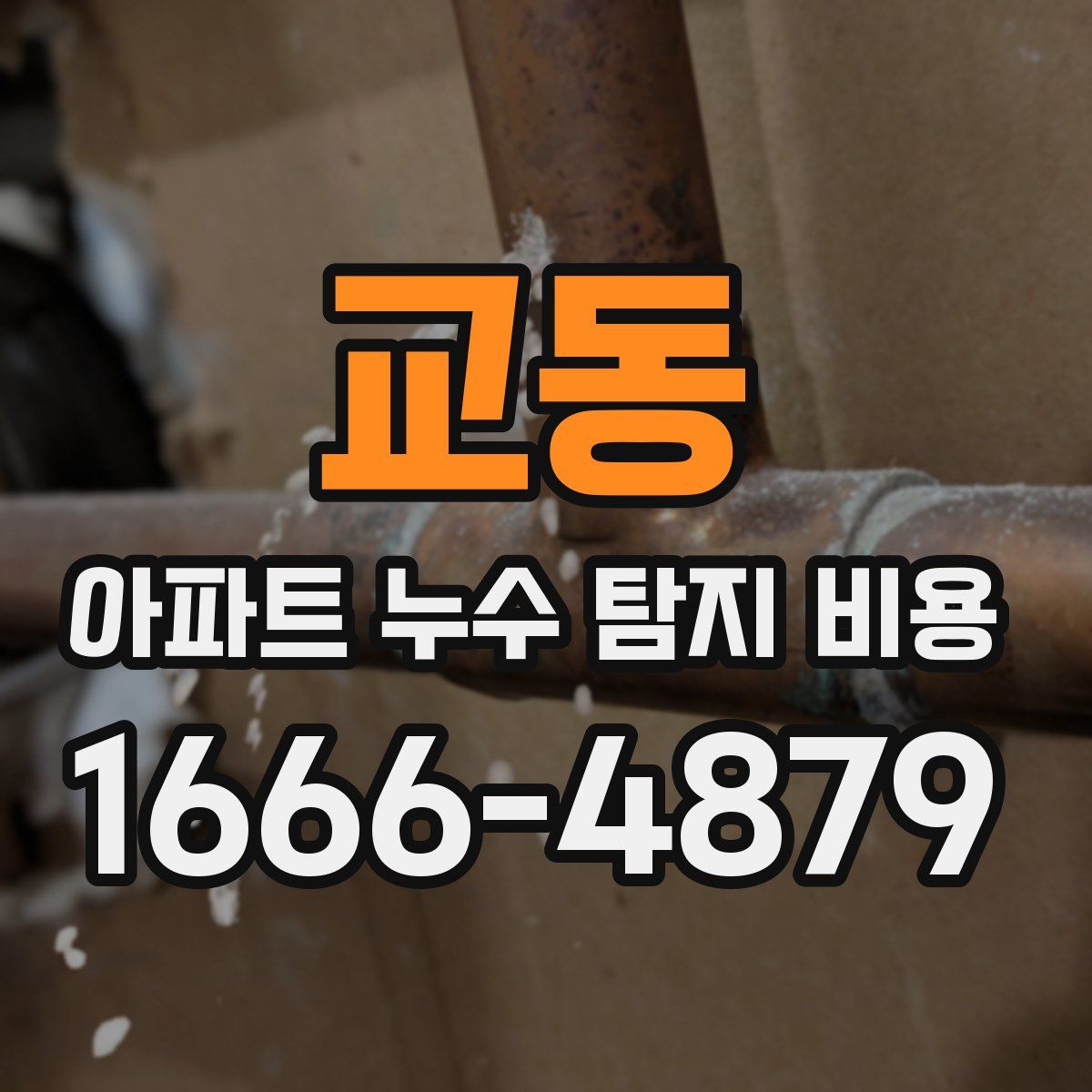 교동 아파트 누수 탐지 비용