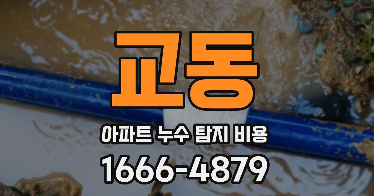 교동 아파트 누수 탐지 비용