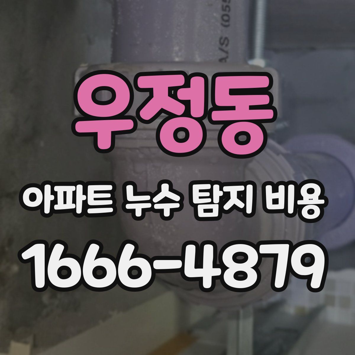 우정동 아파트 누수 탐지 비용
