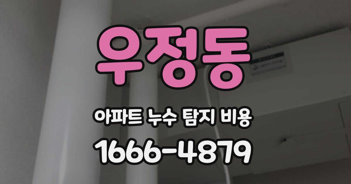 우정동 아파트 누수 탐지 비용