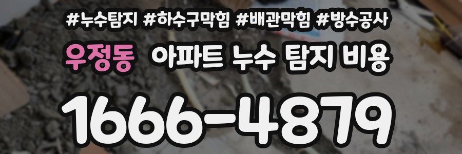 우정동 아파트 누수 탐지 비용