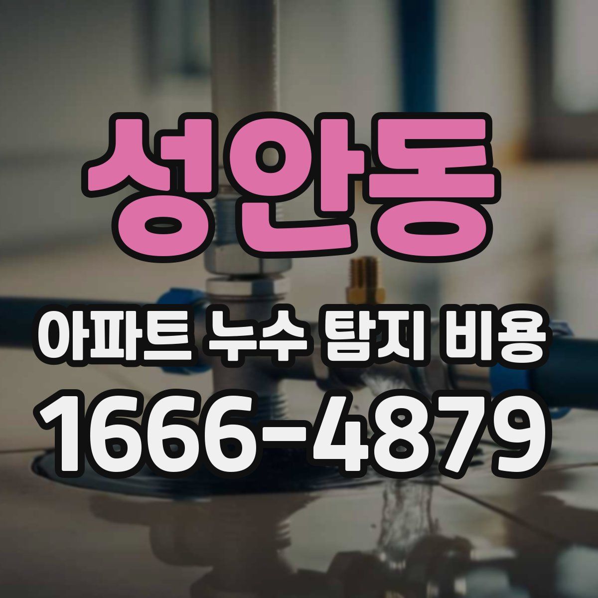 성안동 아파트 누수 탐지 비용